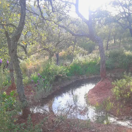 Naturalmente - Holistic Healthy Living Retreat