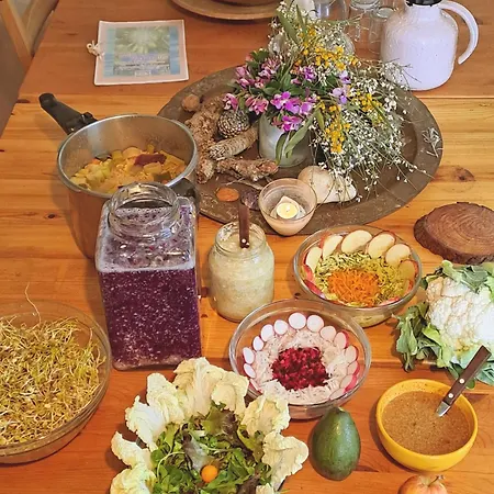 Naturalmente - Holistic Healthy Living Retreat Hytte *